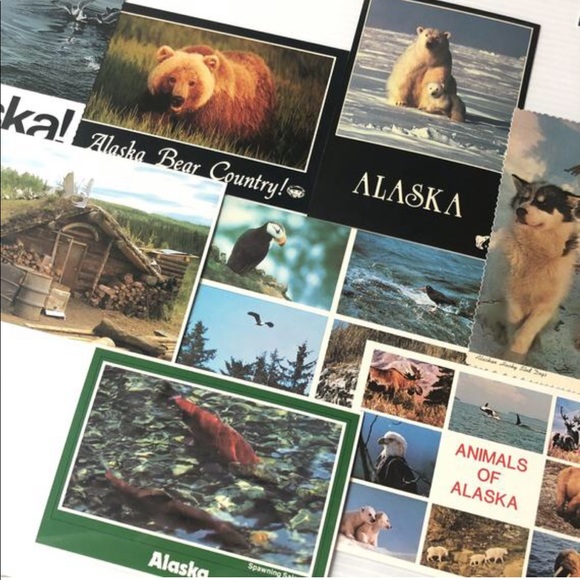 ALASKA Postcards, 8PC Vintage Native Animals